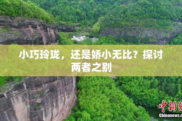 小巧玲珑，还是娇小无比？探讨两者之别