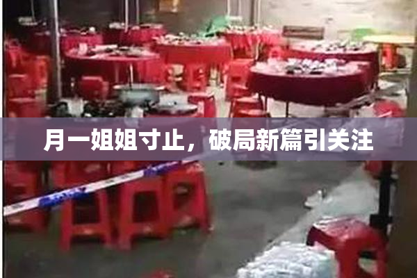 月一姐姐寸止，破局新篇引关注