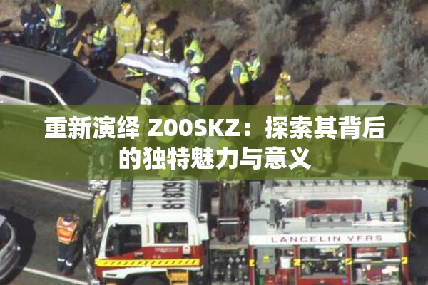 重新演绎 Z00SKZ：探索其背后的独特魅力与意义