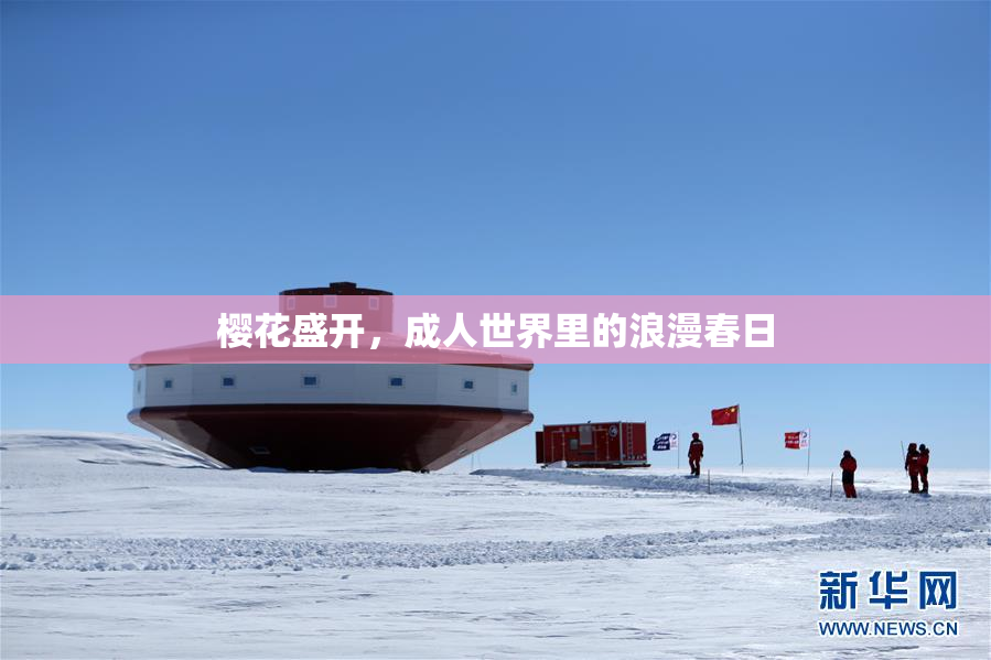 樱花盛开，成人世界里的浪漫春日