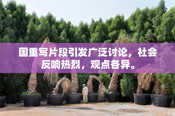 国重写片段引发广泛讨论，社会反响热烈，观点各异。