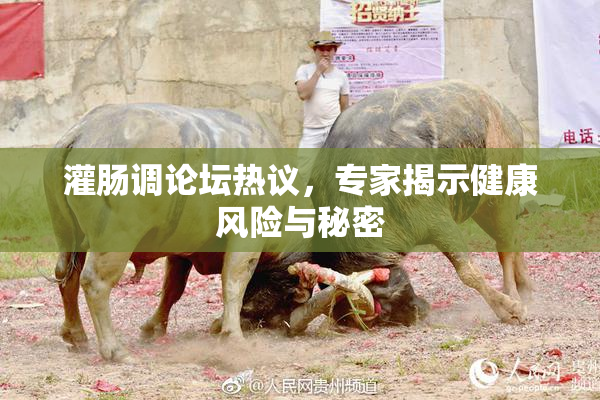 灌肠调论坛热议，专家揭示健康风险与秘密