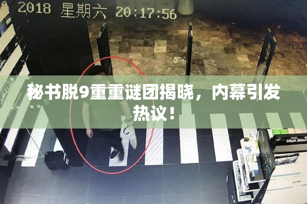 秘书脱9重重谜团揭晓，内幕引发热议！