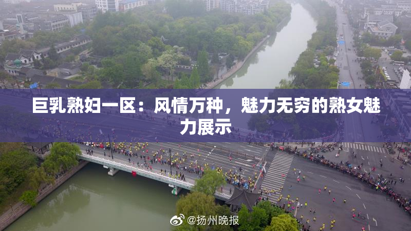 巨乳熟妇一区：风情万种，魅力无穷的熟女魅力展示