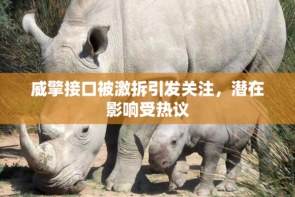 威擎接口被激拆引发关注，潜在影响受热议