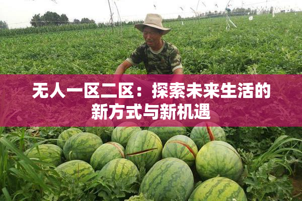 无人一区二区：探索未来生活的新方式与新机遇