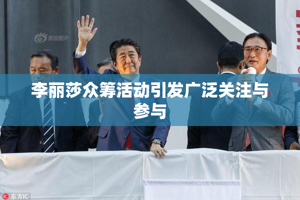 李丽莎众筹活动引发广泛关注与参与