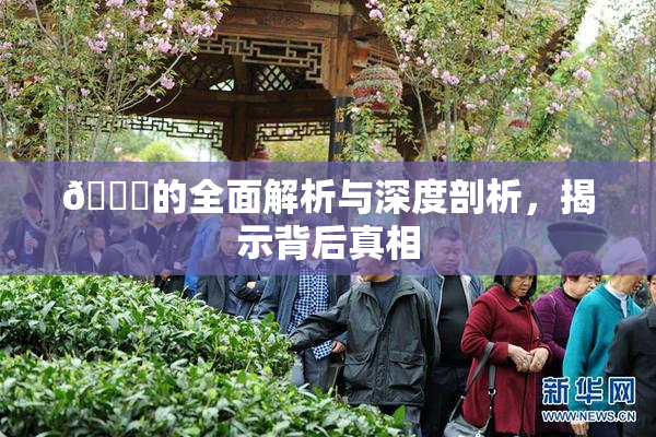 🈚的全面解析与深度剖析，揭示背后真相