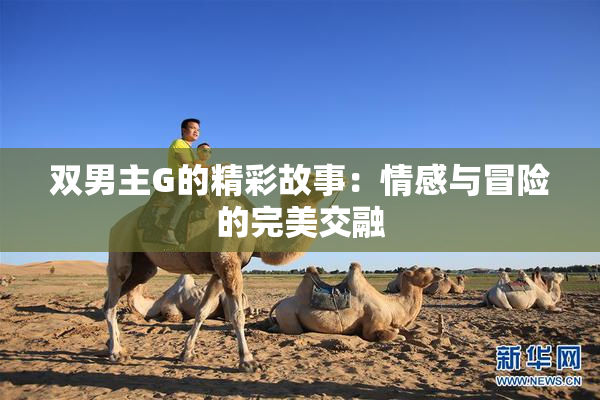 双男主G的精彩故事：情感与冒险的完美交融