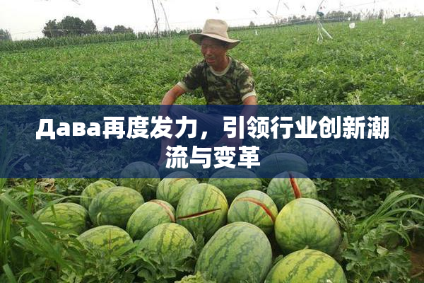 Дава再度发力，引领行业创新潮流与变革