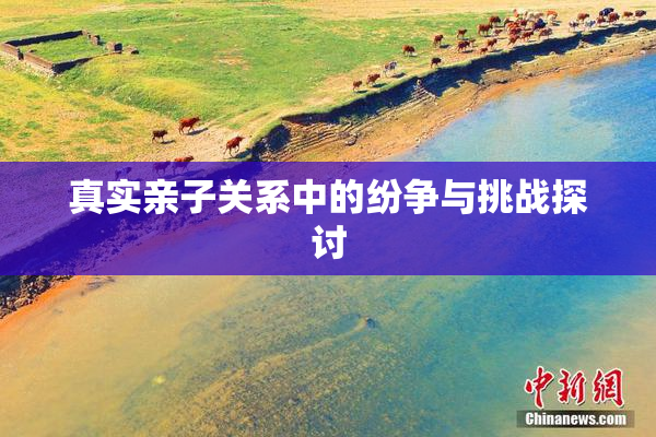 真实亲子关系中的纷争与挑战探讨
