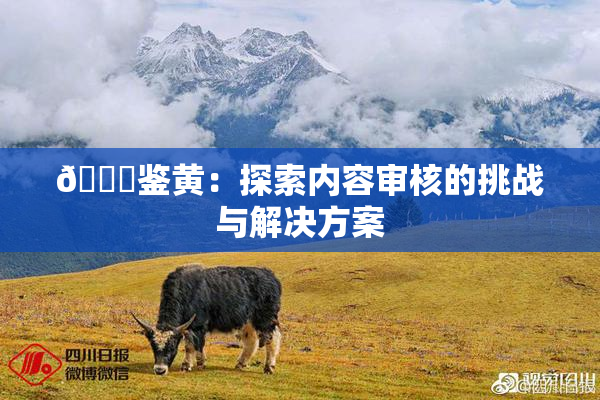 🔞鉴黄：探索内容审核的挑战与解决方案