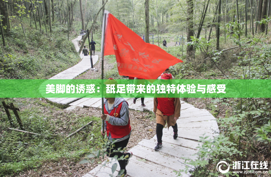 美脚的诱惑：舐足带来的独特体验与感受