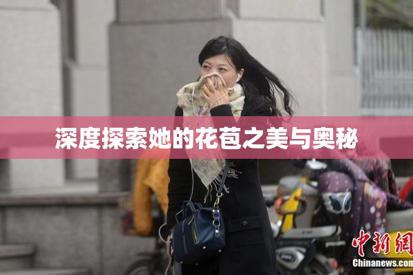 深度探索她的花苞之美与奥秘
