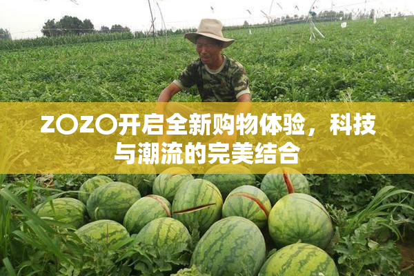 Z〇Z〇开启全新购物体验，科技与潮流的完美结合