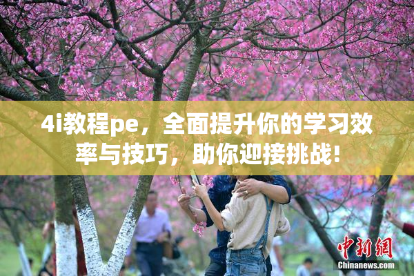 4i教程pe，全面提升你的学习效率与技巧，助你迎接挑战!
