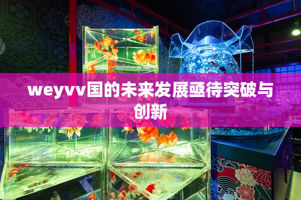 weyvv国的未来发展亟待突破与创新