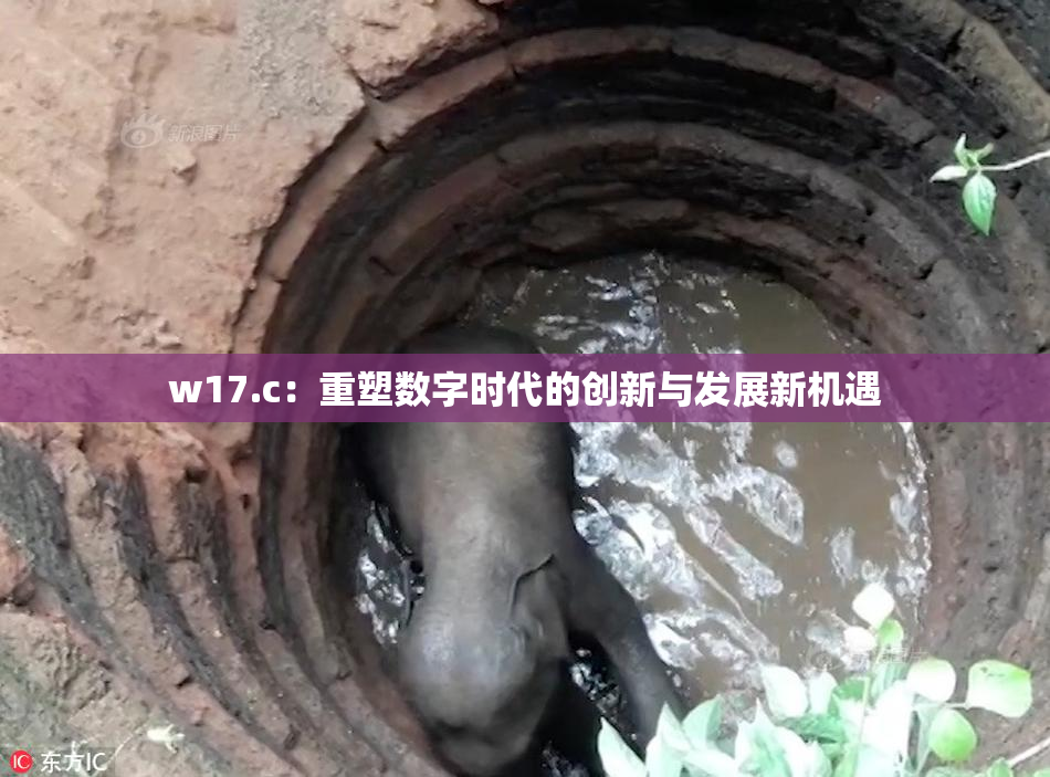 w17.c：重塑数字时代的创新与发展新机遇
