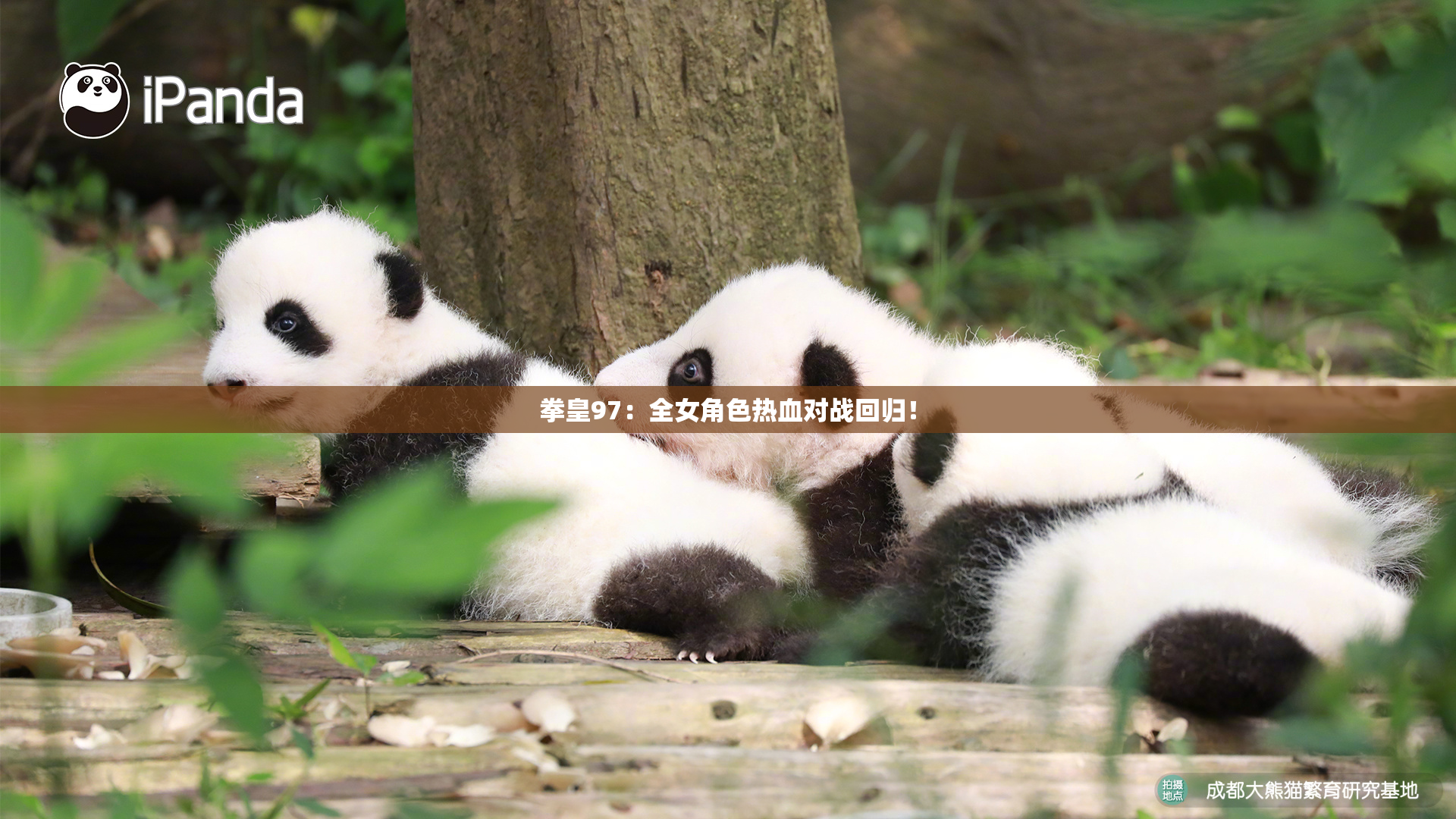 拳皇97：全女角色热血对战回归！