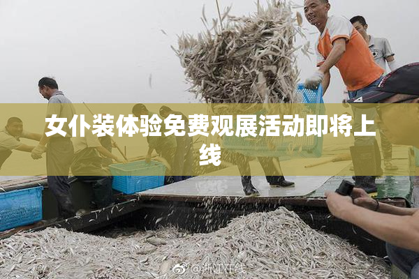 女仆装体验免费观展活动即将上线