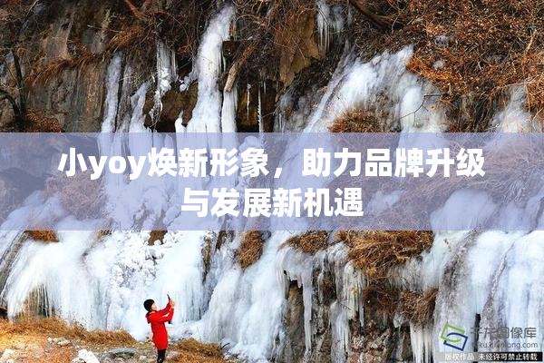 小yoy焕新形象，助力品牌升级与发展新机遇