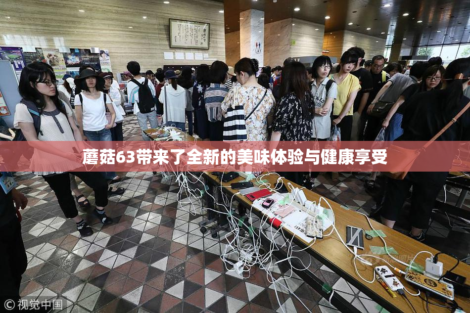 蘑菇63带来了全新的美味体验与健康享受