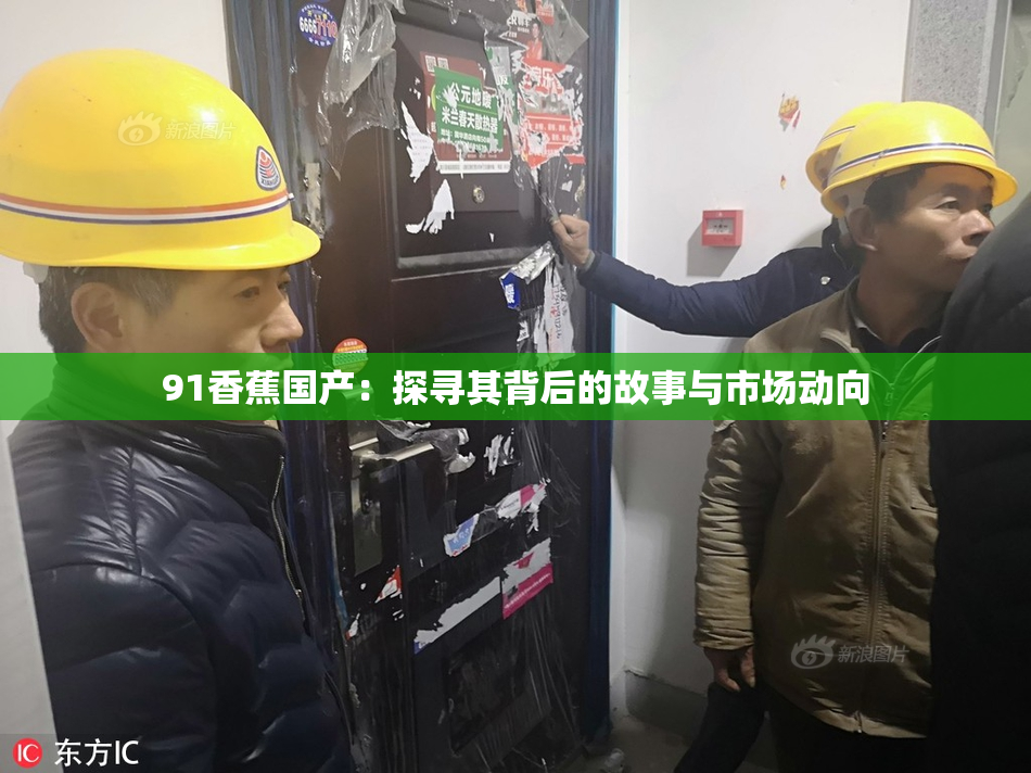91香蕉国产：探寻其背后的故事与市场动向
