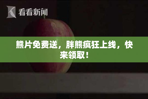 熊片免费送，胖熊疯狂上线，快来领取！