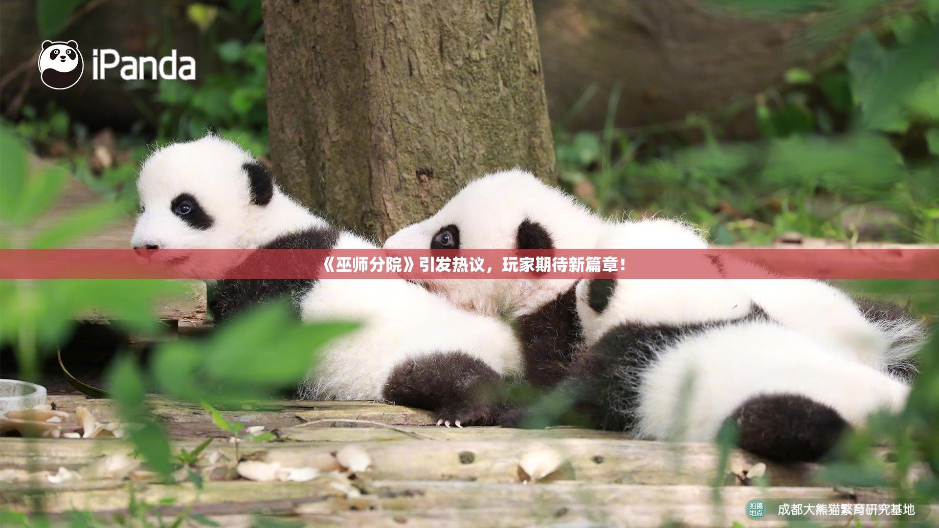 《巫师分院》引发热议，玩家期待新篇章！