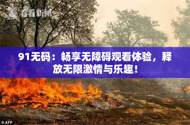 91无码：畅享无障碍观看体验，释放无限激情与乐趣！