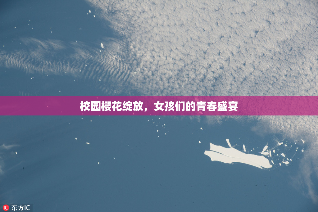 校园樱花绽放，女孩们的青春盛宴