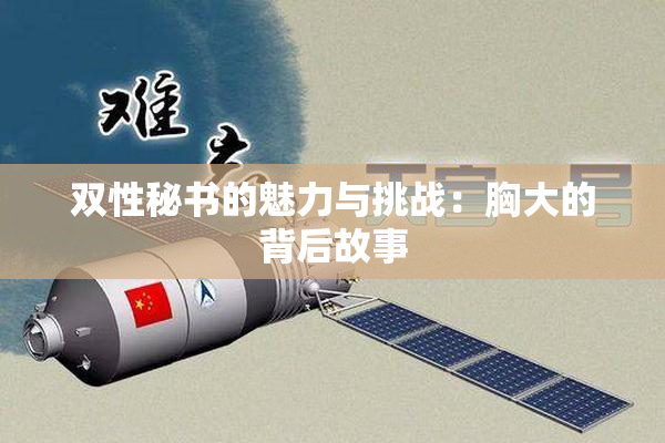 双性秘书的魅力与挑战：胸大的背后故事