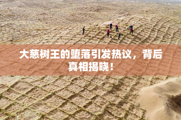 大慈树王的堕落引发热议，背后真相揭晓！