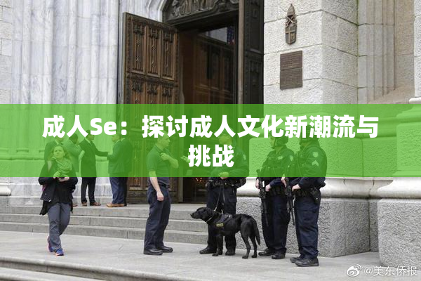 成人Se：探讨成人文化新潮流与挑战