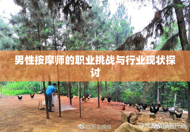 男性按摩师的职业挑战与行业现状探讨