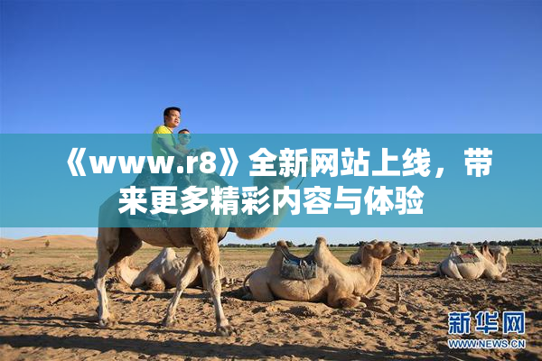 《www.r8》全新网站上线，带来更多精彩内容与体验