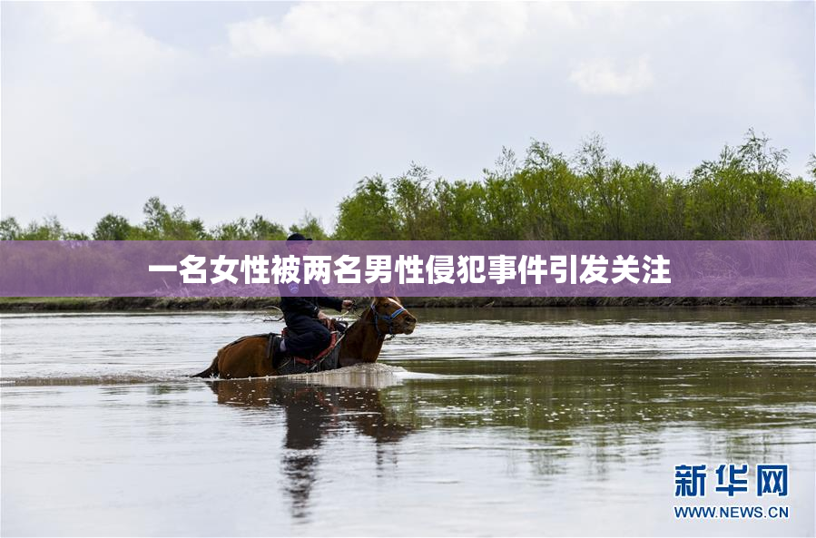 一名女性被两名男性侵犯事件引发关注