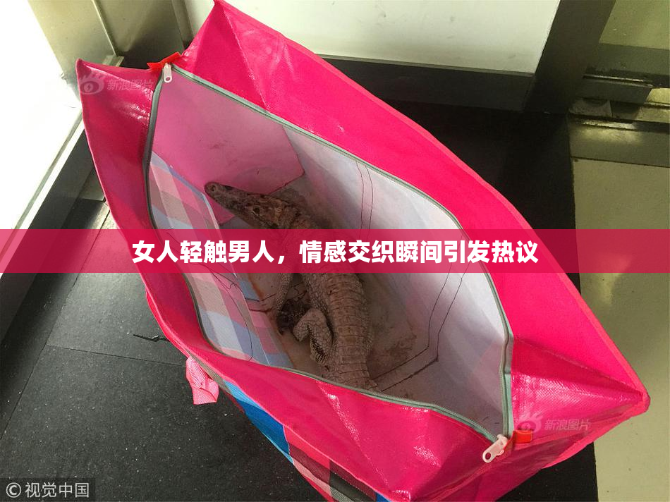女人轻触男人，情感交织瞬间引发热议