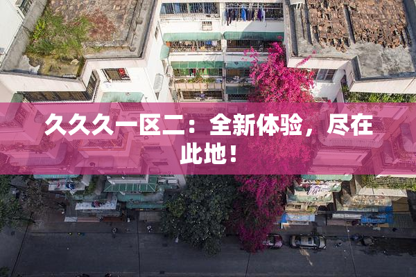 久久久一区二：全新体验，尽在此地！