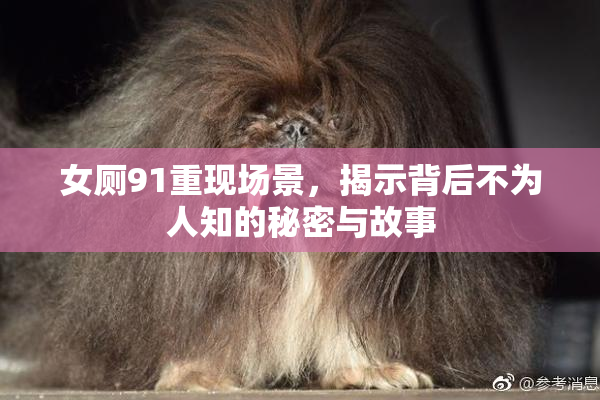女厕91重现场景，揭示背后不为人知的秘密与故事