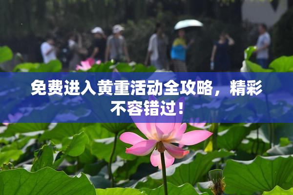 免费进入黄重活动全攻略，精彩不容错过！