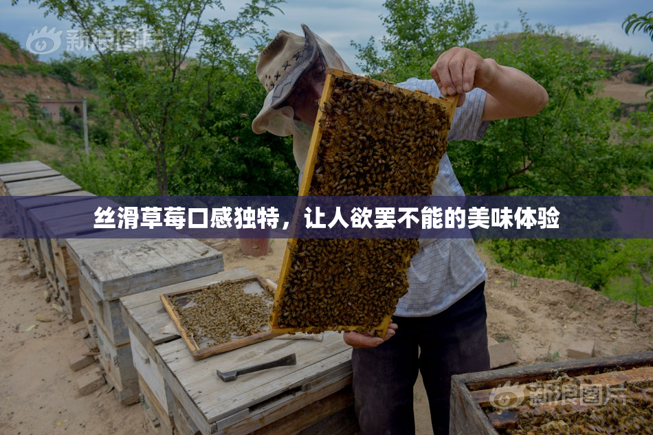 丝滑草莓口感独特，让人欲罢不能的美味体验