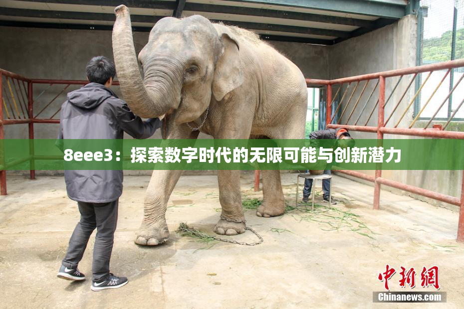 8eee3：探索数字时代的无限可能与创新潜力