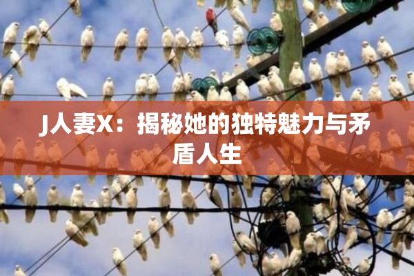 J人妻X：揭秘她的独特魅力与矛盾人生