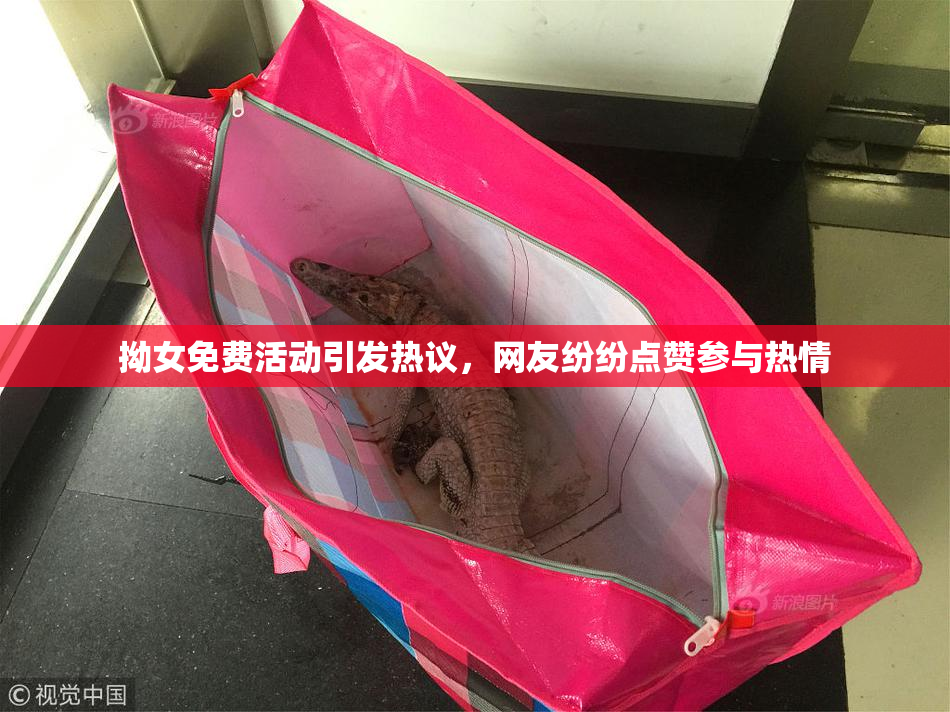 拗女免费活动引发热议，网友纷纷点赞参与热情