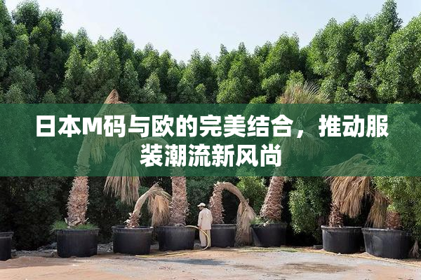 日本M码与欧的完美结合，推动服装潮流新风尚