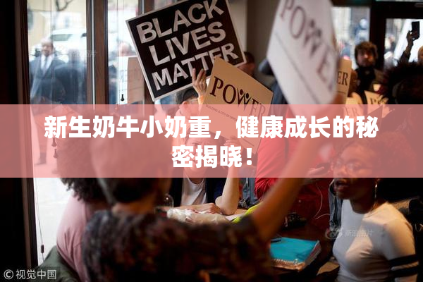 新生奶牛小奶重，健康成长的秘密揭晓！