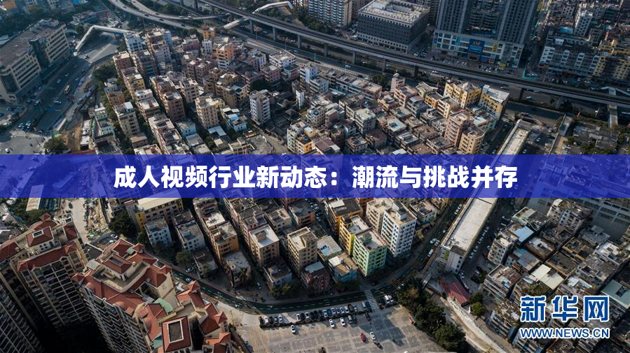 成人视频行业新动态：潮流与挑战并存