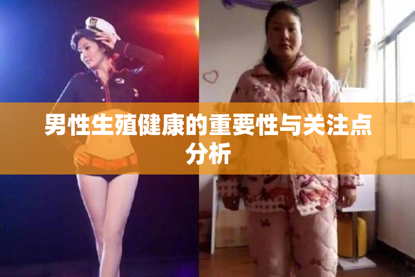 男性生殖健康的重要性与关注点分析