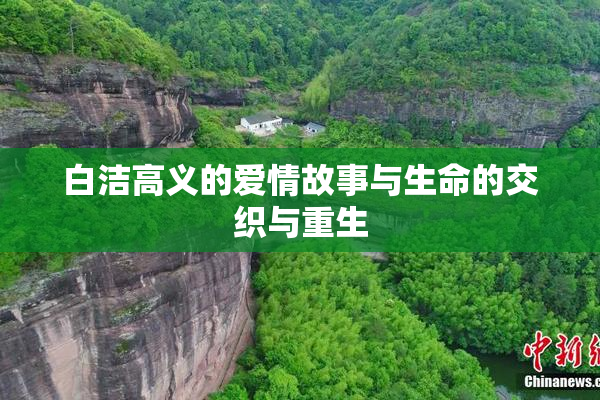 白洁高义的爱情故事与生命的交织与重生